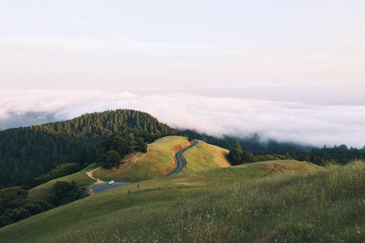 Top Teams Gear Up for Championship Finals