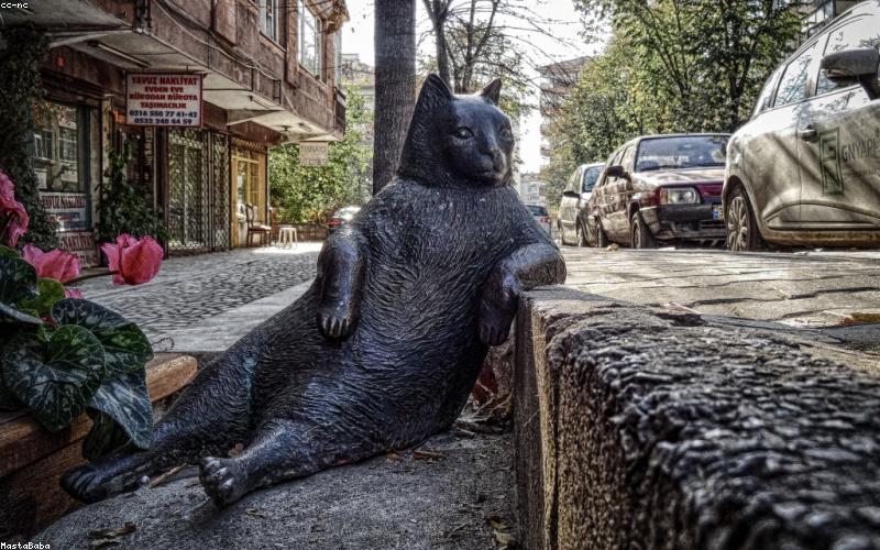 Test News Article 5 : Exploring Basketball